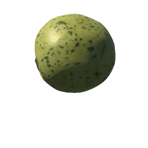 melon3 (1)